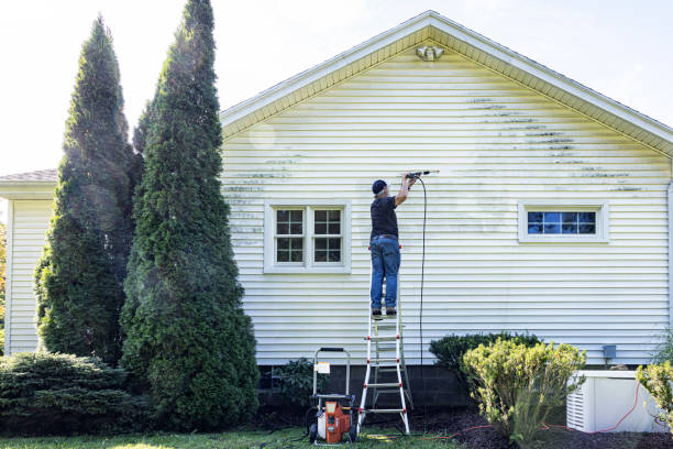 Best Gutter Cleaning  in Logansport, LA